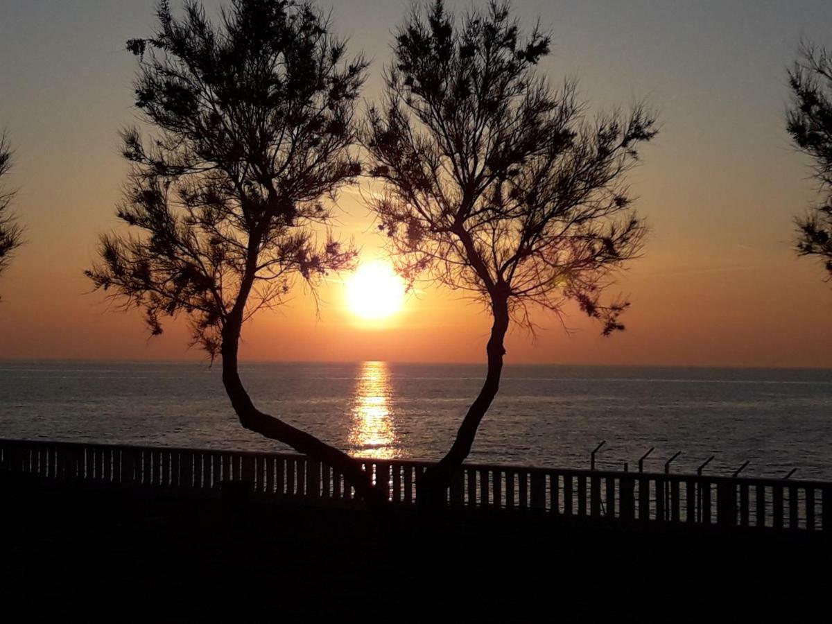 Agriturismo Le Cerbonche โรซิญญาโน มาริตตีโม ภายนอก รูปภาพ