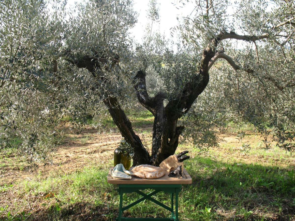 Agriturismo Le Cerbonche โรซิญญาโน มาริตตีโม ภายนอก รูปภาพ